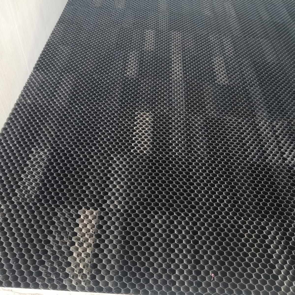 WhatsApp Image 2026-03-31 at 10.50.15 (2)