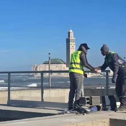 WhatsApp Image 2025-12-04 à 16.18.47_41958a71